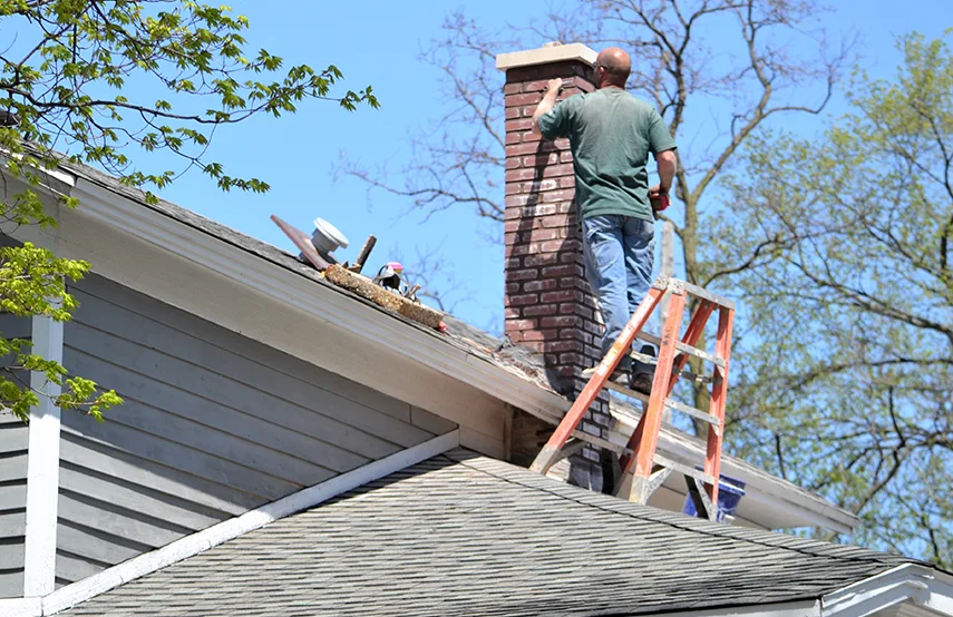 Chimney & Fireplace Inspections Services in Northport, AL